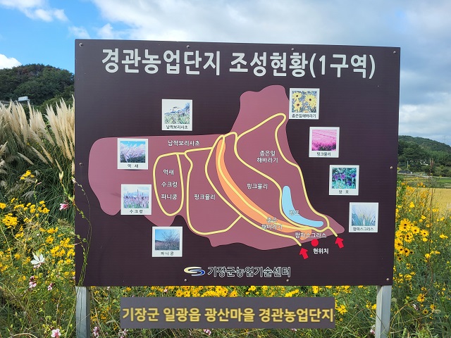 경관단지 조성현황 표지판